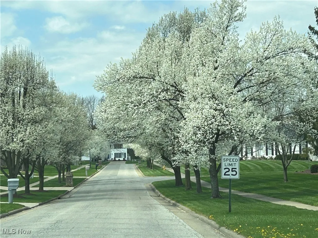 View of asphalt road with curbs, sidewalks, and traffic signs