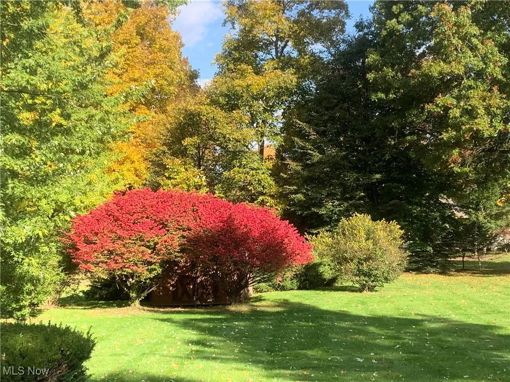 View of green lawn