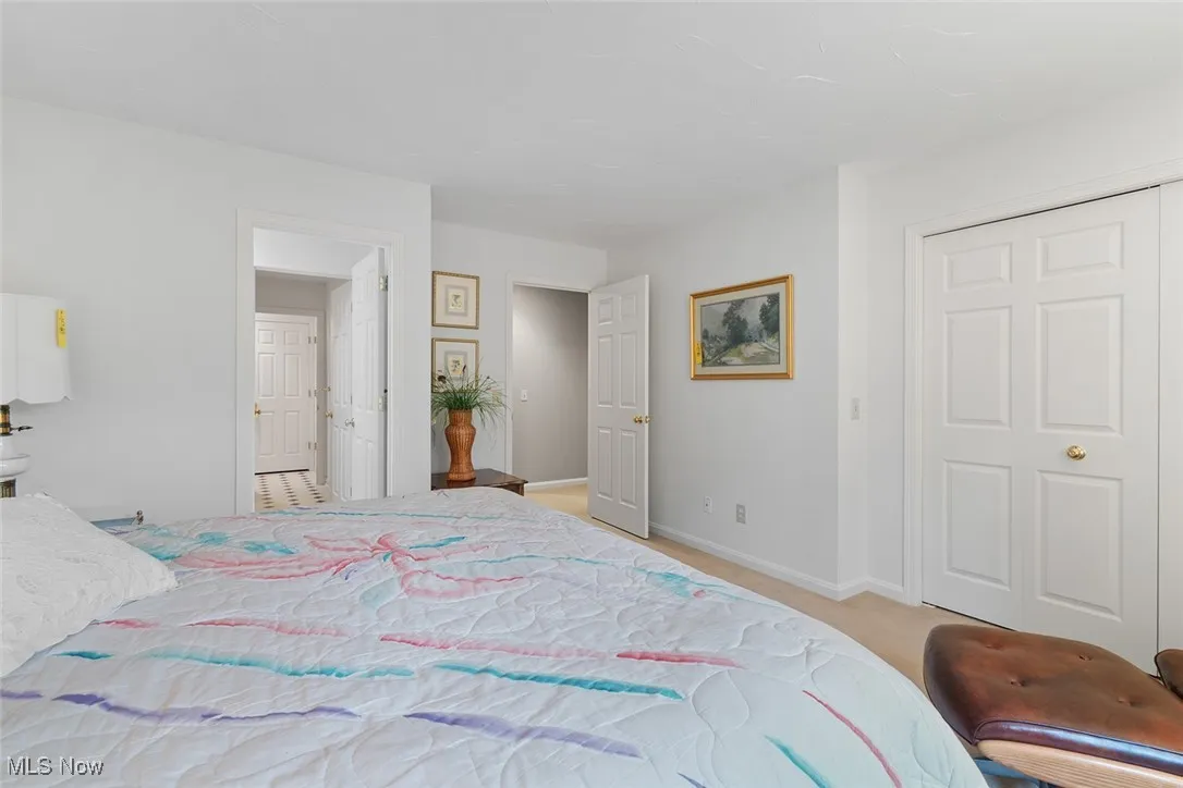 Bedroom with a closet and light colored carpet