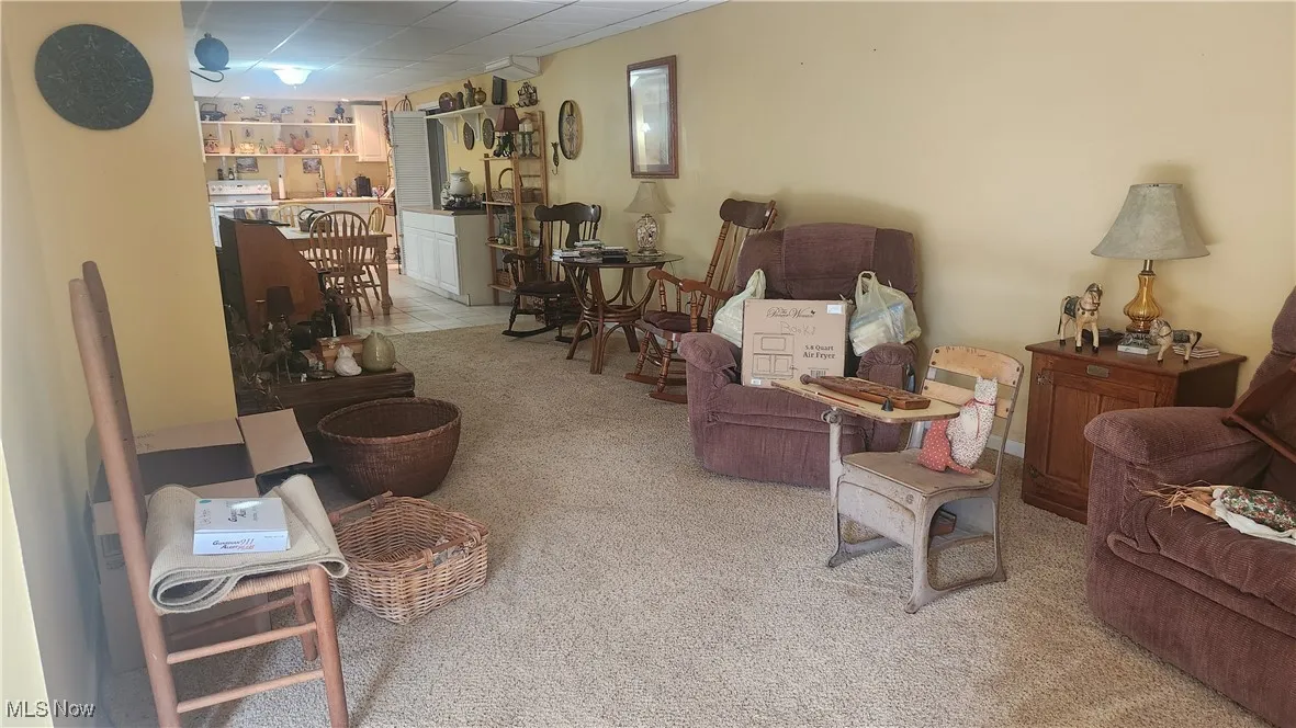 Living area in lower level