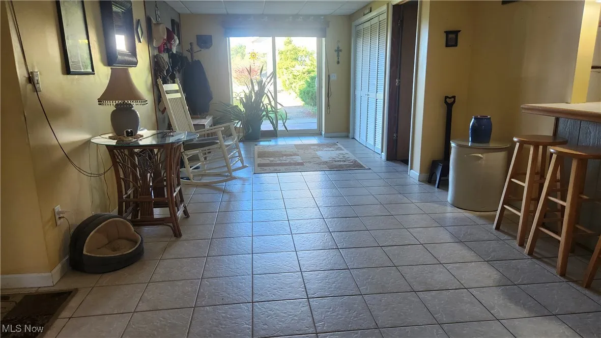 Entrance foyer in lower level