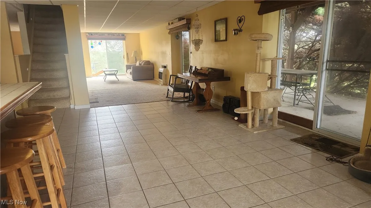 Living area in lower level