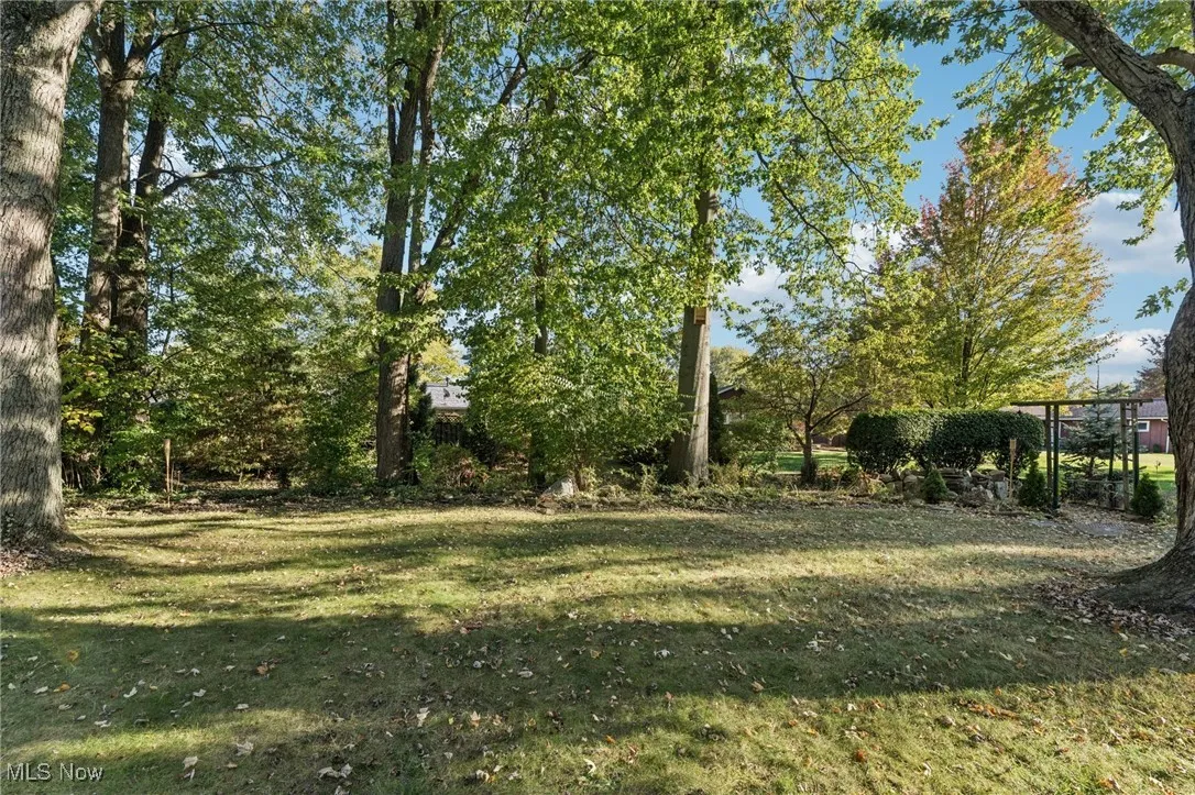 View of grassy yard