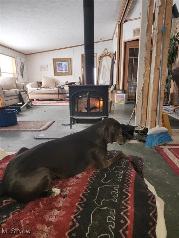 Living area featuring a wood stove and ornamental molding