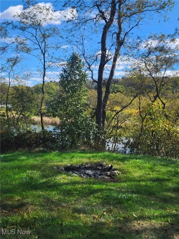 View of green lawn