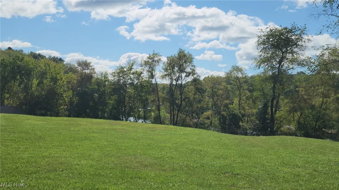 Surrounding community featuring a yard