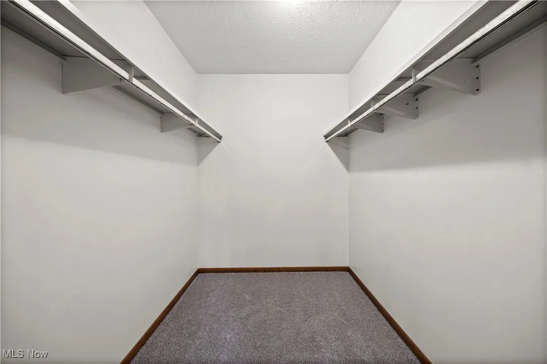 Spacious closet with carpet