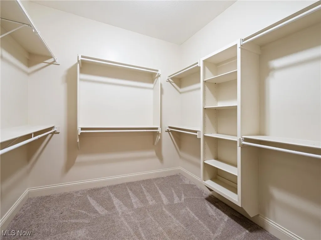 Walk in closet with light carpet