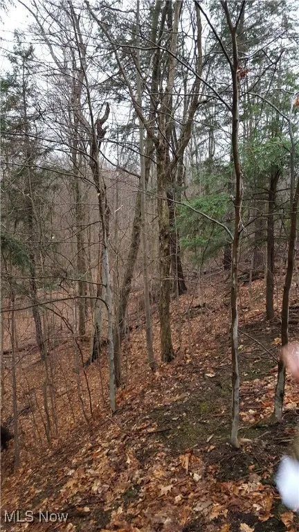 Abbey Road, Madison, Ohio 44057,MLS Now Listing ID