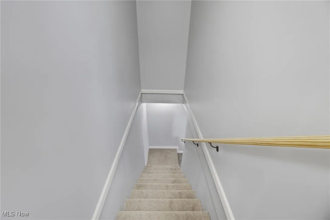 Stairs with carpet