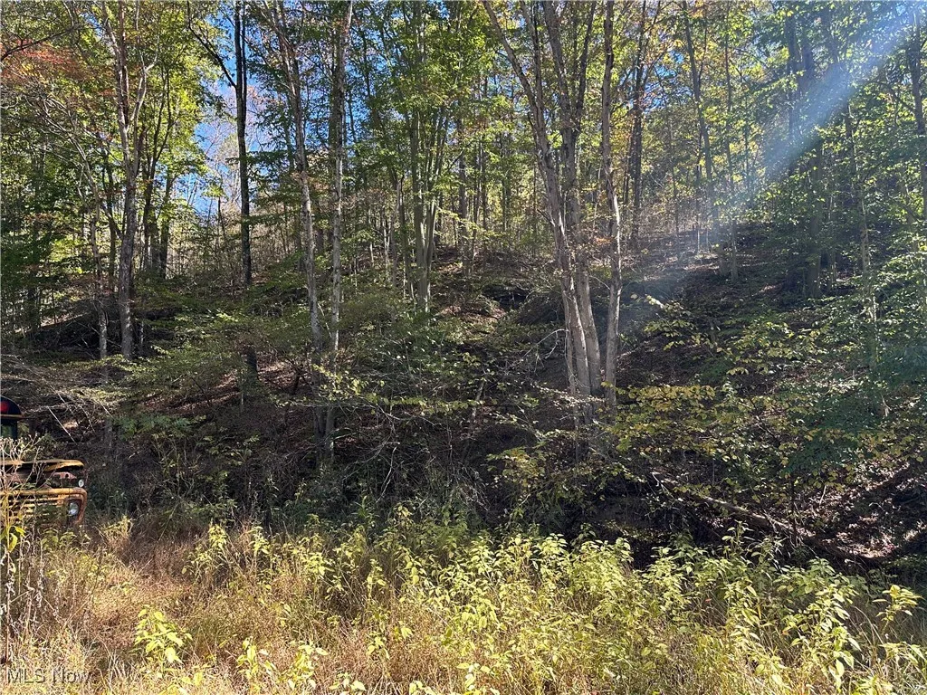 0 Moss Run Road, Marietta, Ohio 45750,MLS Now Listing ID