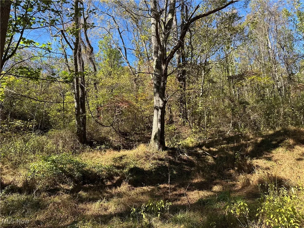 0 Moss Run Road, Marietta, Ohio 45750,MLS Now Listing ID