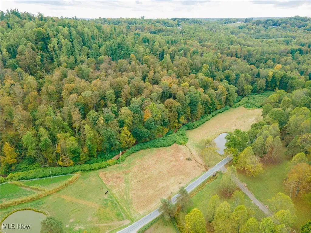 Township Road 309, Millersburg, Ohio 44654,MLS Now Listing ID