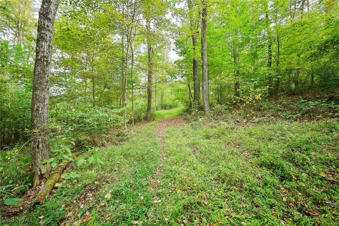 Township Road 309, Millersburg, Ohio 44654,MLS Now Listing ID
