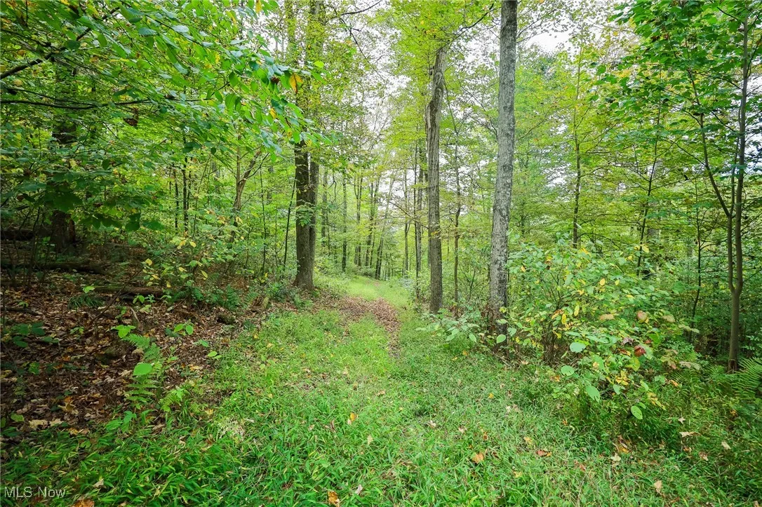 Township Road 309, Millersburg, Ohio 44654,MLS Now Listing ID