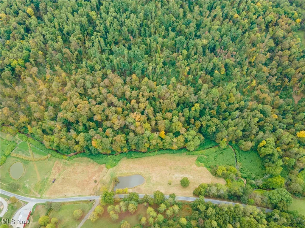 Township Road 309, Millersburg, Ohio 44654,MLS Now Listing ID