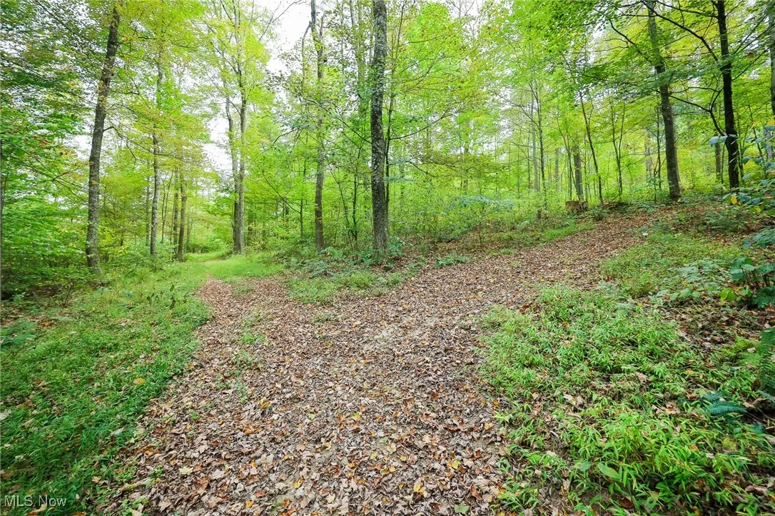 Township Road 309, Millersburg, Ohio 44654,MLS Now Listing ID