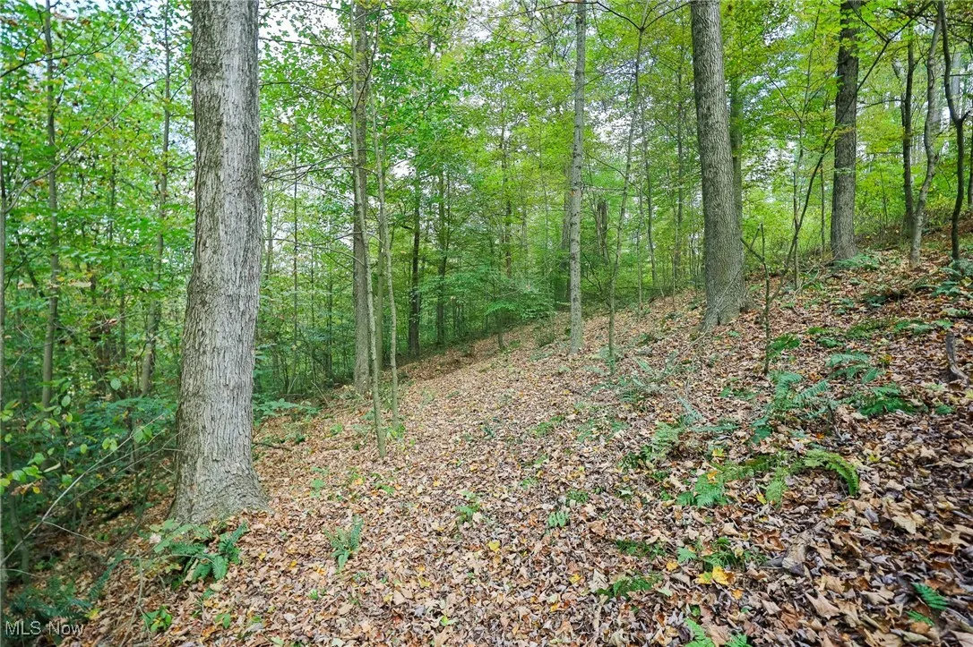 Township Road 309, Millersburg, Ohio 44654,MLS Now Listing ID