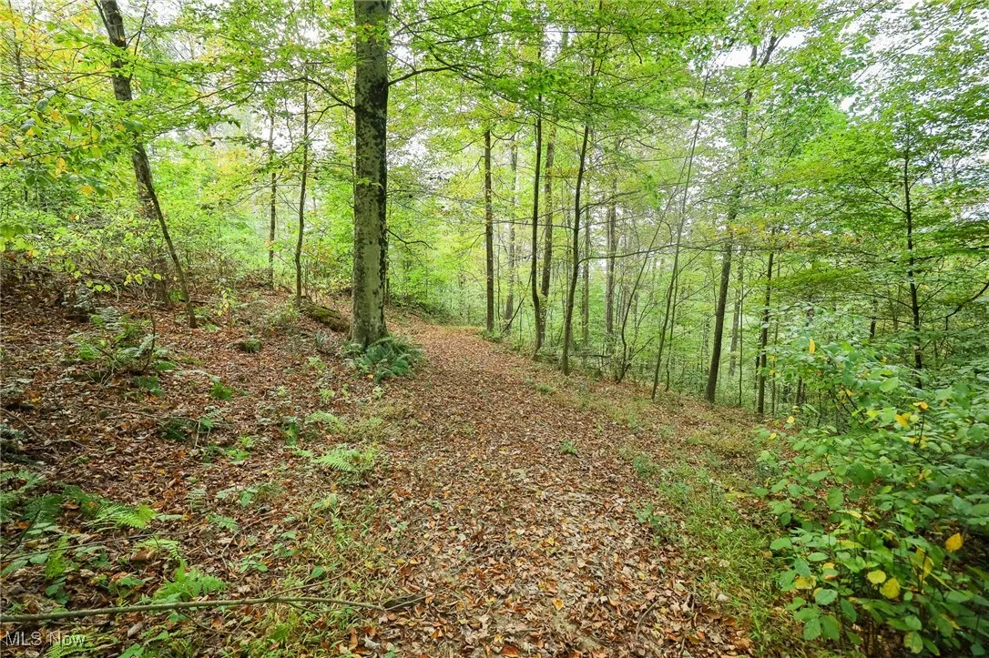 Township Road 309, Millersburg, Ohio 44654,MLS Now Listing ID