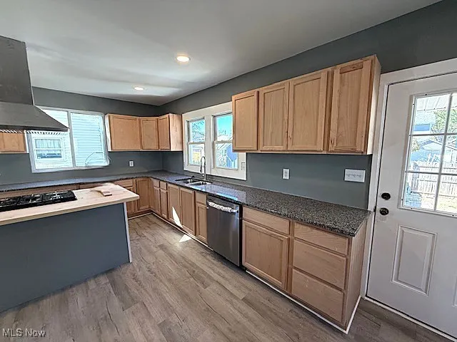 Kitchen with light brown cabinetry, light wood-style flooring, dishwasher, ventilation hood, and black gas cooktop