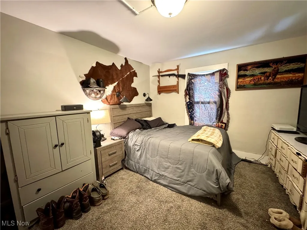 Bedroom with carpet floors