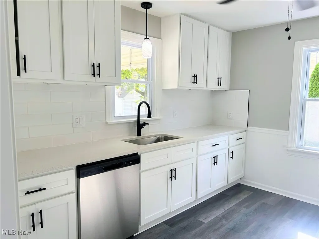 Kitchen featuring stainless steel dishwasher, white cabinetry, healthy amount of natural light, and a wainscoted wall