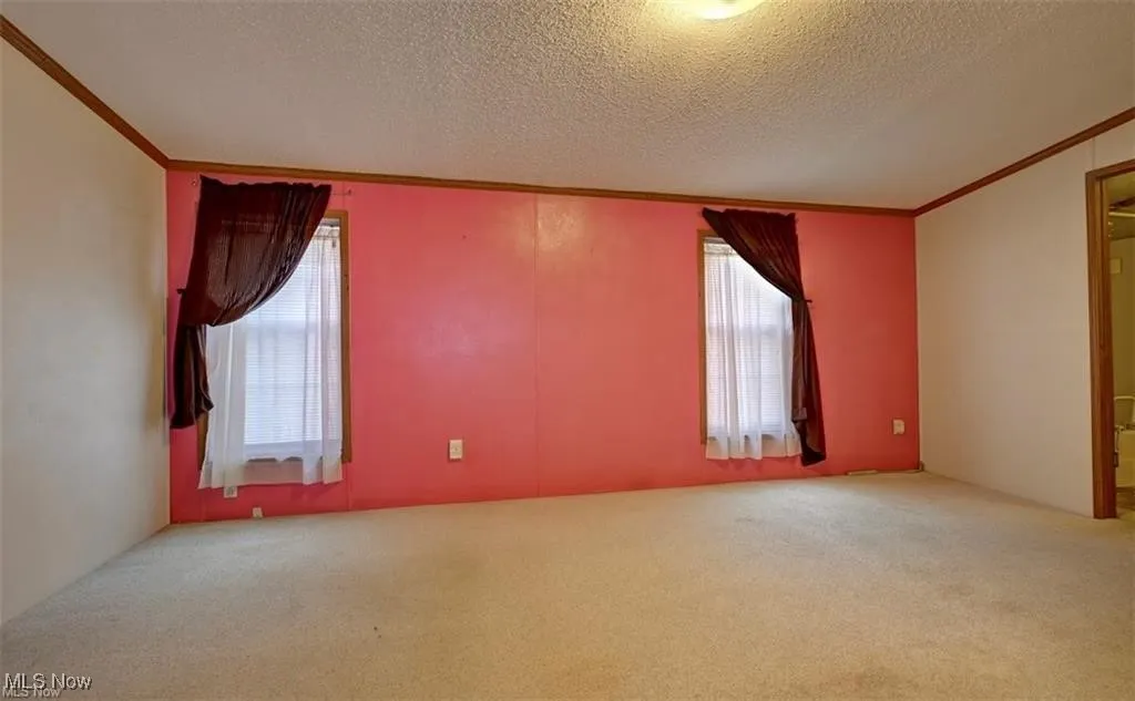 Empty room with crown molding, carpet floors, and a textured ceiling