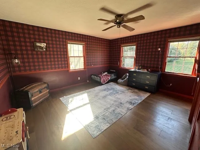 Bedroom featuring wallpapered walls, multiple windows, wood finished floors, a ceiling fan, and a textured ceiling