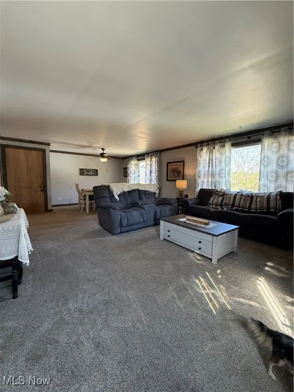 771 State Route 541, Coshocton, Ohio 43812,MLS Now Listing ID