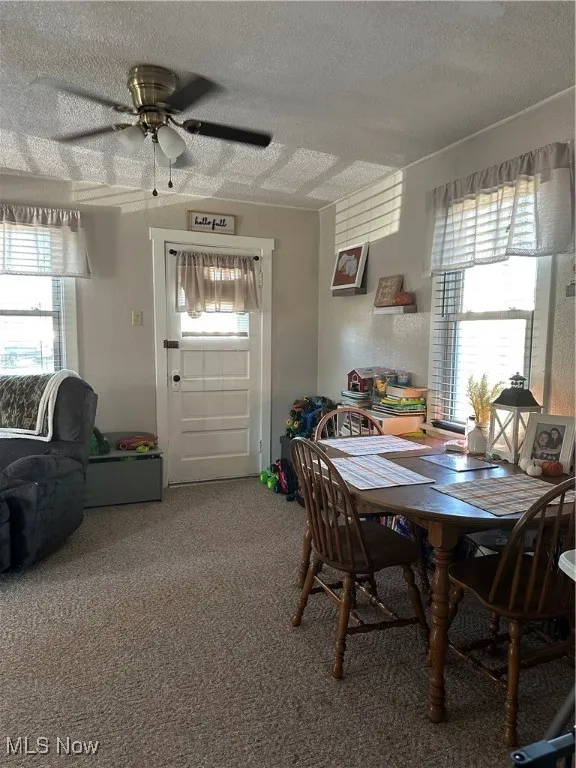 Dining room featuring a textured ceiling, carpet flooring, and ceiling fan opening into the Living room area.
