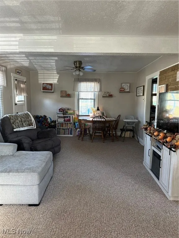 Living area with light carpet, a textured ceiling, and ceiling fan