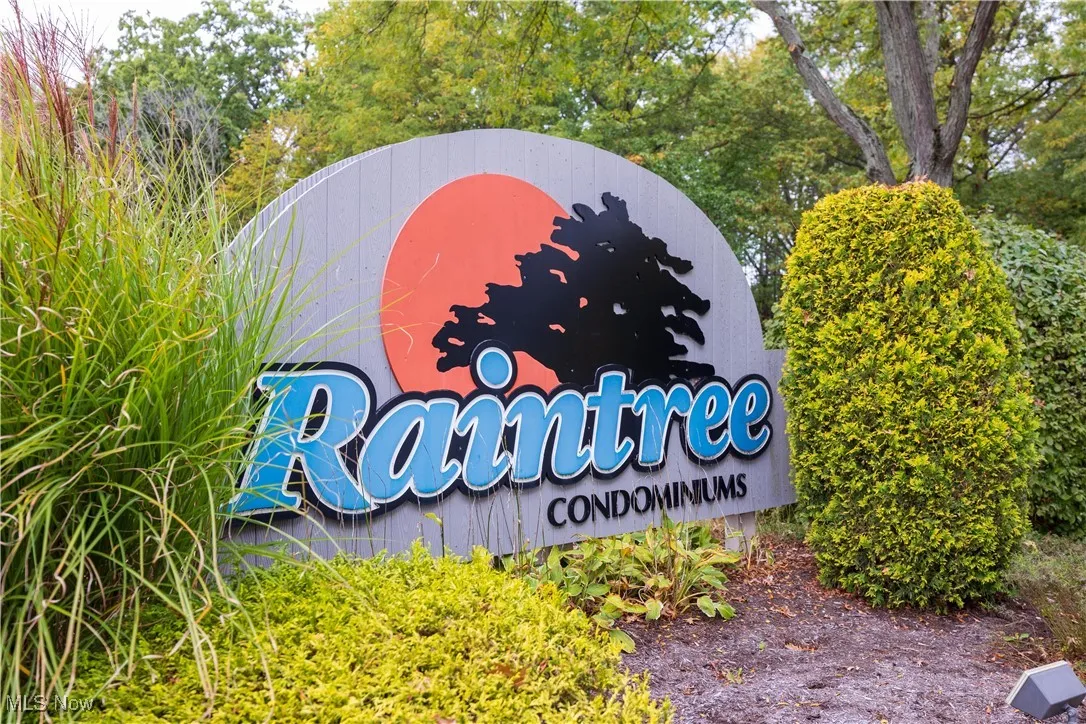 26187 Raintree Boulevard # C5, Olmsted Falls, Ohio 44138,MLS Now Listing ID