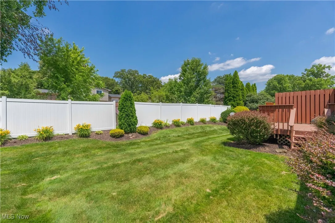 View of fenced backyard