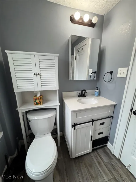 Bathroom with dark wood-type flooring, vanity, and a textured ceiling