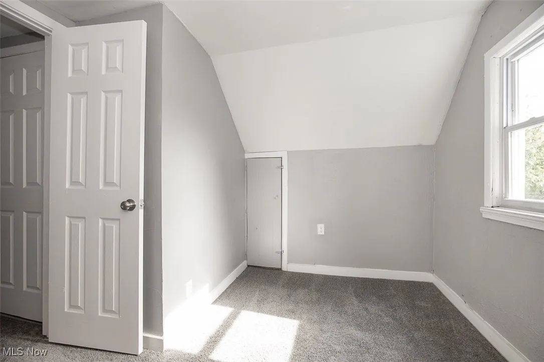 Bonus room with carpet flooring and lofted ceiling
