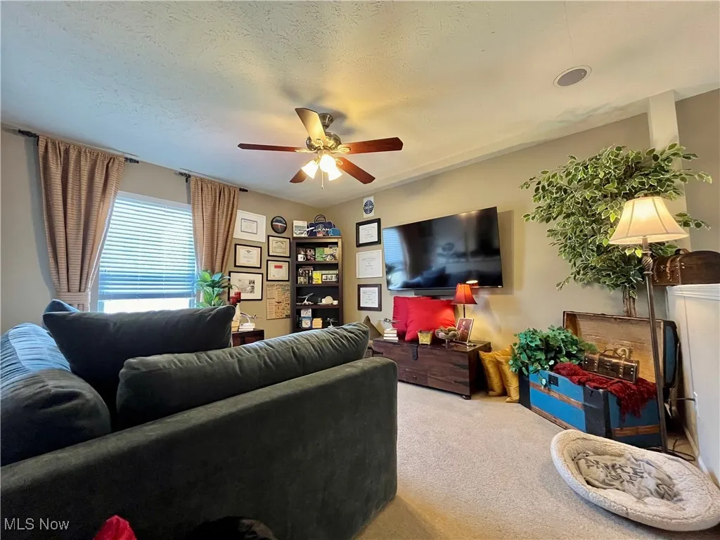Bright living room.
