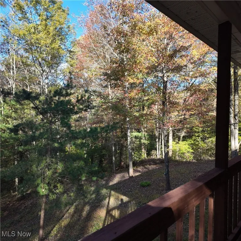 40721 Township Road 467, Sardis, Ohio 43946,MLS Now Listing ID
