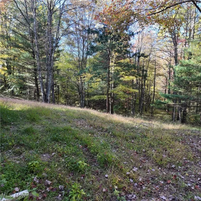40721 Township Road 467, Sardis, Ohio 43946,MLS Now Listing ID