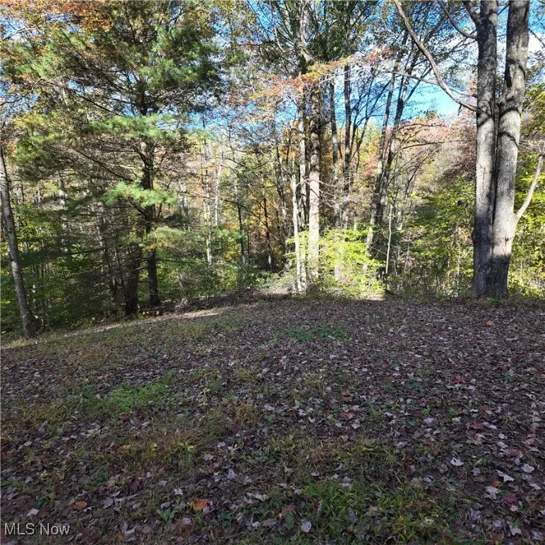 40721 Township Road 467, Sardis, Ohio 43946,MLS Now Listing ID