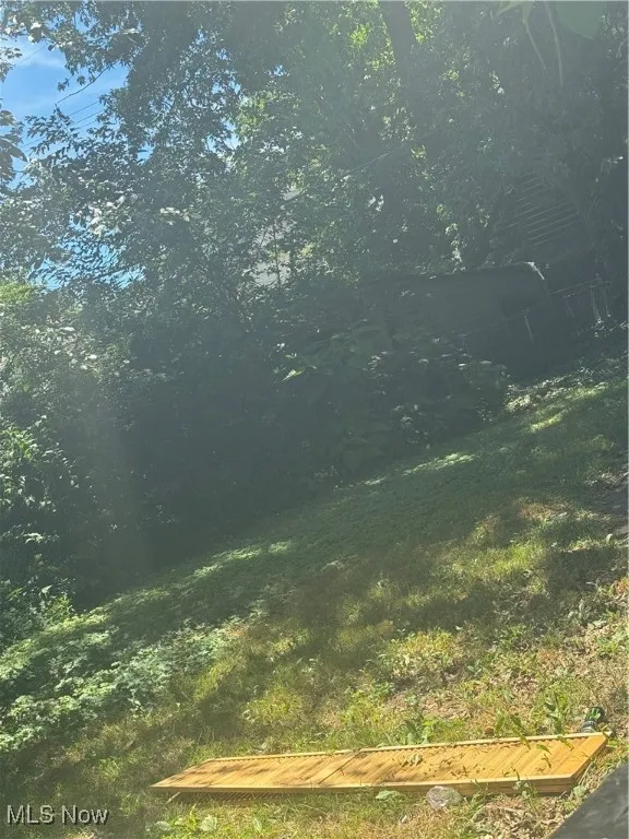 View of local wilderness