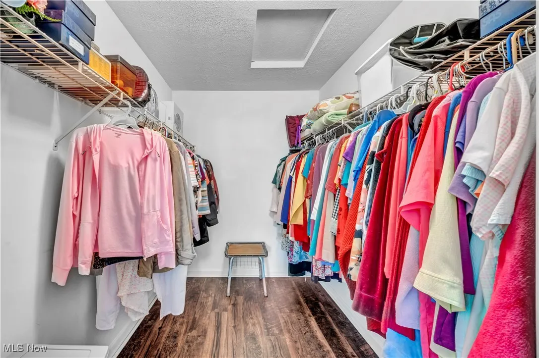 Spacious closet with attic access and dark wood-type flooring