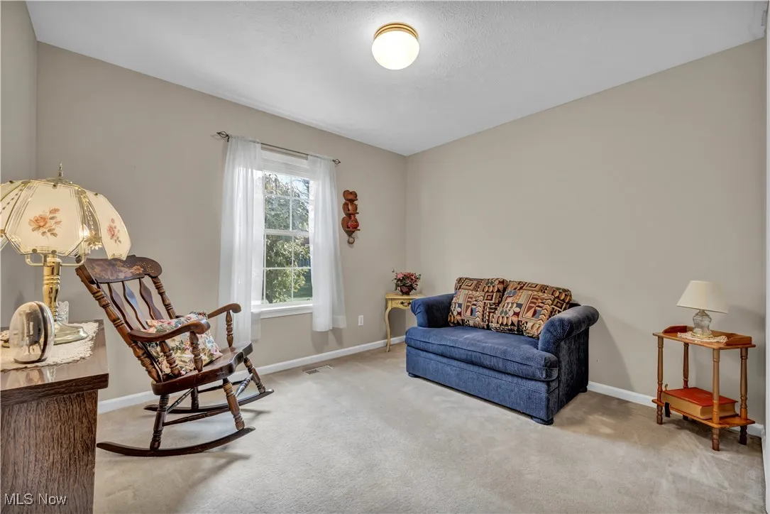 Living area with carpet and a textured ceiling