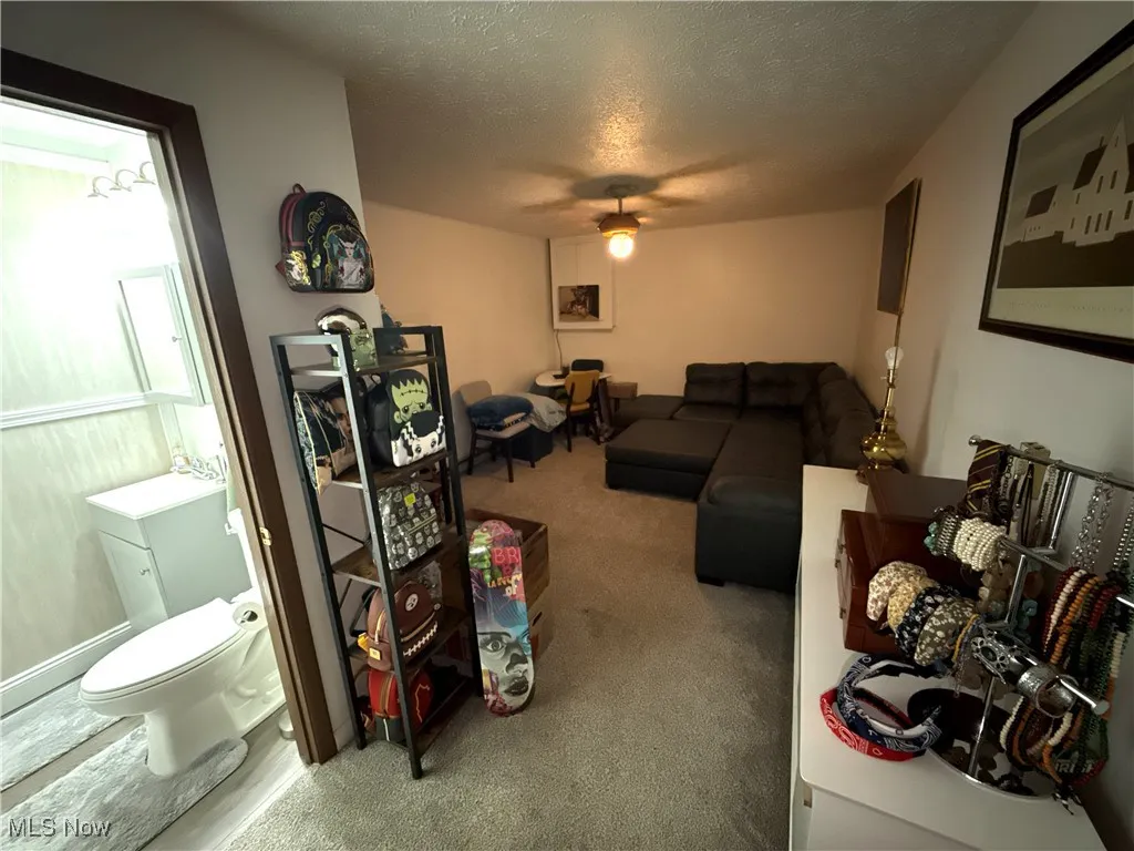 Carpeted living room with a textured ceiling