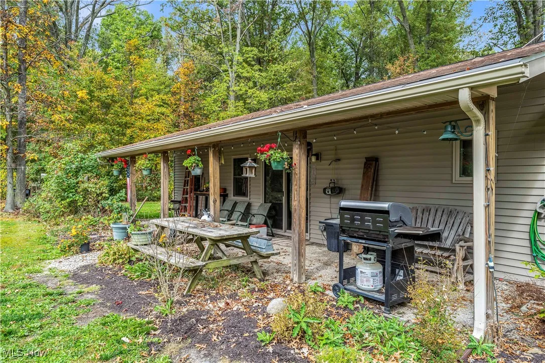 10990 Reed Road, Columbia Station, Ohio 44028,MLS Now Listing ID