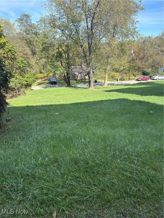 View of grassy yard with view of wooded area