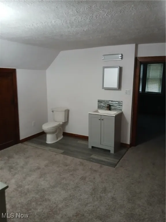 Bathroom with vanity, vaulted ceiling, dark colored carpet, and a textured ceiling