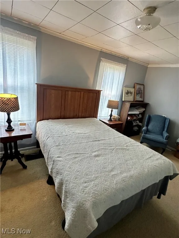 Bedroom with ornamental molding and carpet flooring