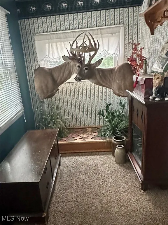 Entry/foyer