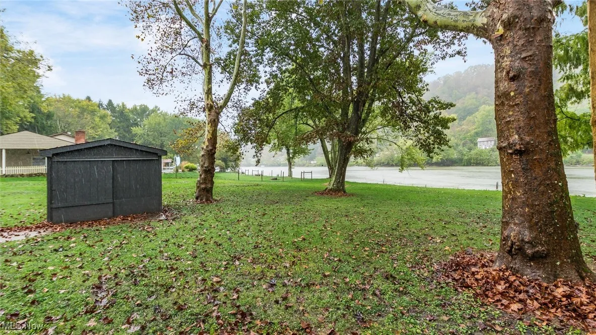 View of green lawn featuring a storage unit