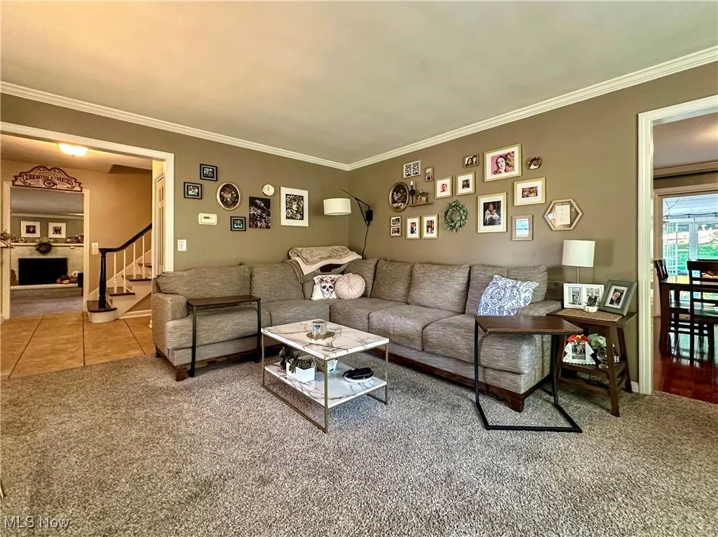 737 N Bentley Avenue, Niles, Ohio 44446,MLS Now Listing ID